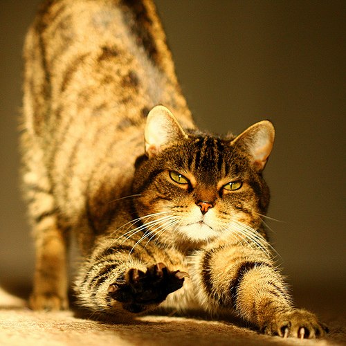 Александр Семенов | Москва