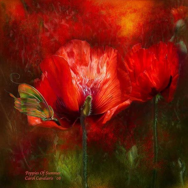 Наталия Максютенко | Санкт-Петербург