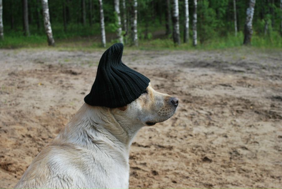 №7, Виталий Ермоленко, 39 лет, Таллин №7, Виталий Ермоленко, 39 лет, Таллин