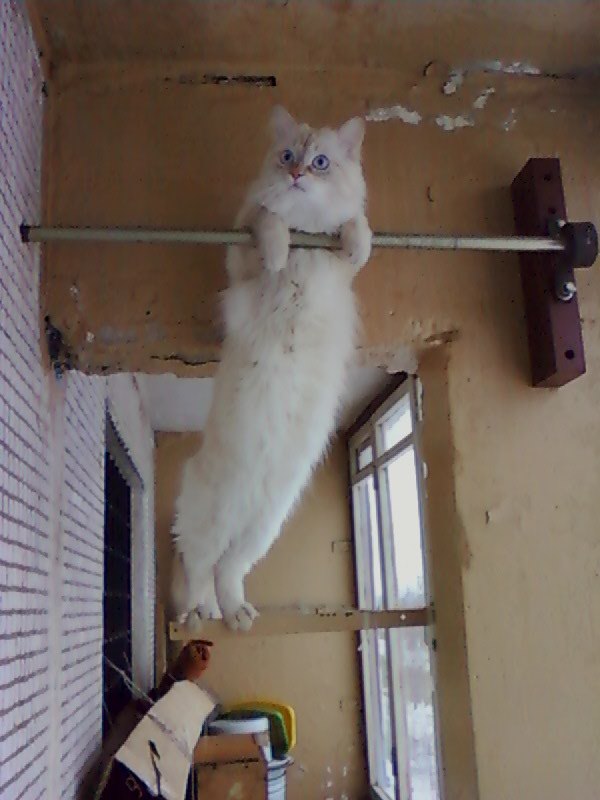 Катерина Чуваева | Великие Луки