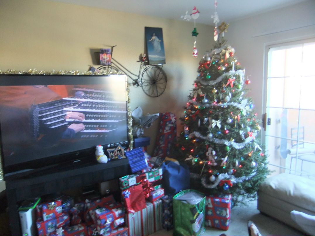 Дарина Андерсен | Scottsdale