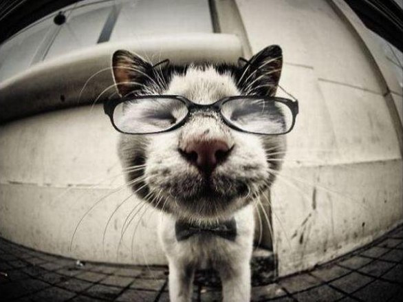 Сергей Васенин the_best_man | 