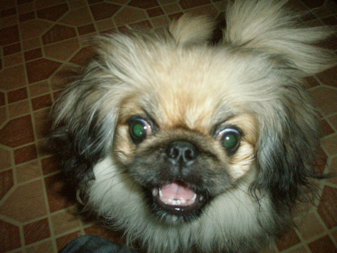 Игорь Иванов | Саратов