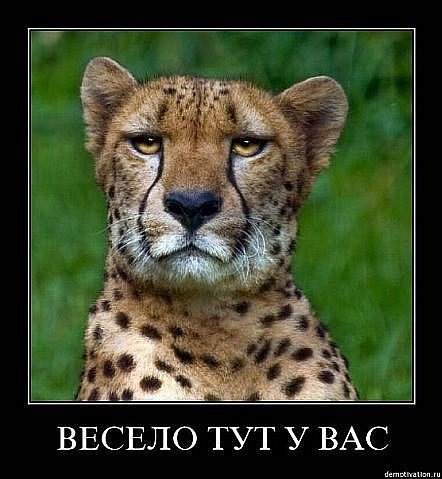 №60, Васек-Добрый Кот-Соляник, 38 лет, Москва №60, Васек-Добрый Кот-Соляник, 38 лет, Москва