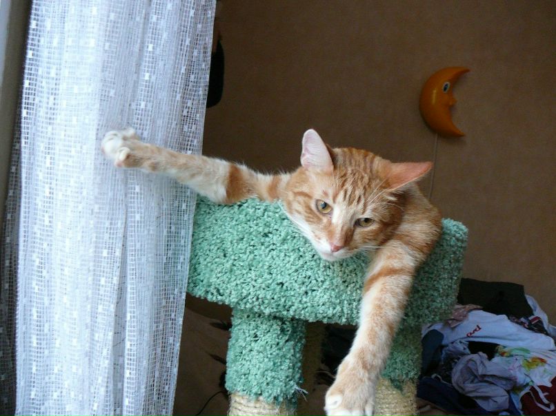 Константин Спиридонов | Санкт-Петербург