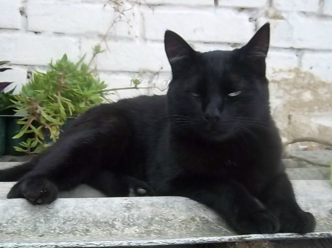 Svetlana Volodej | Чернигов