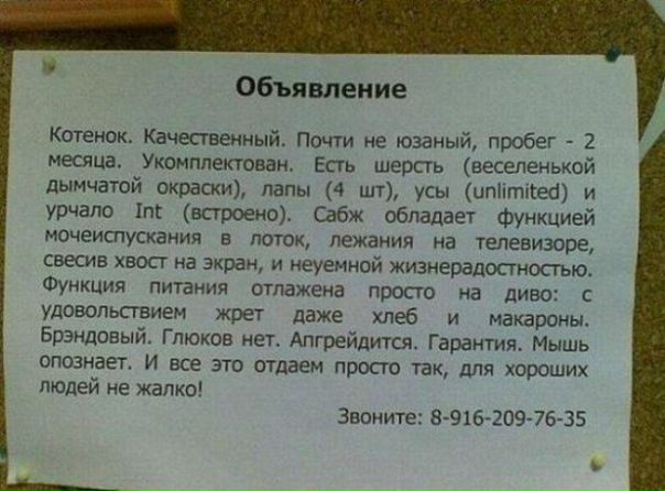 №113, Светлана Силина, Пермь, Россия №113, Светлана Силина, Пермь, Россия