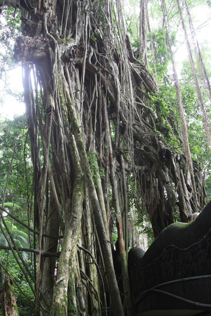 Любаша Солдатова | Москва
