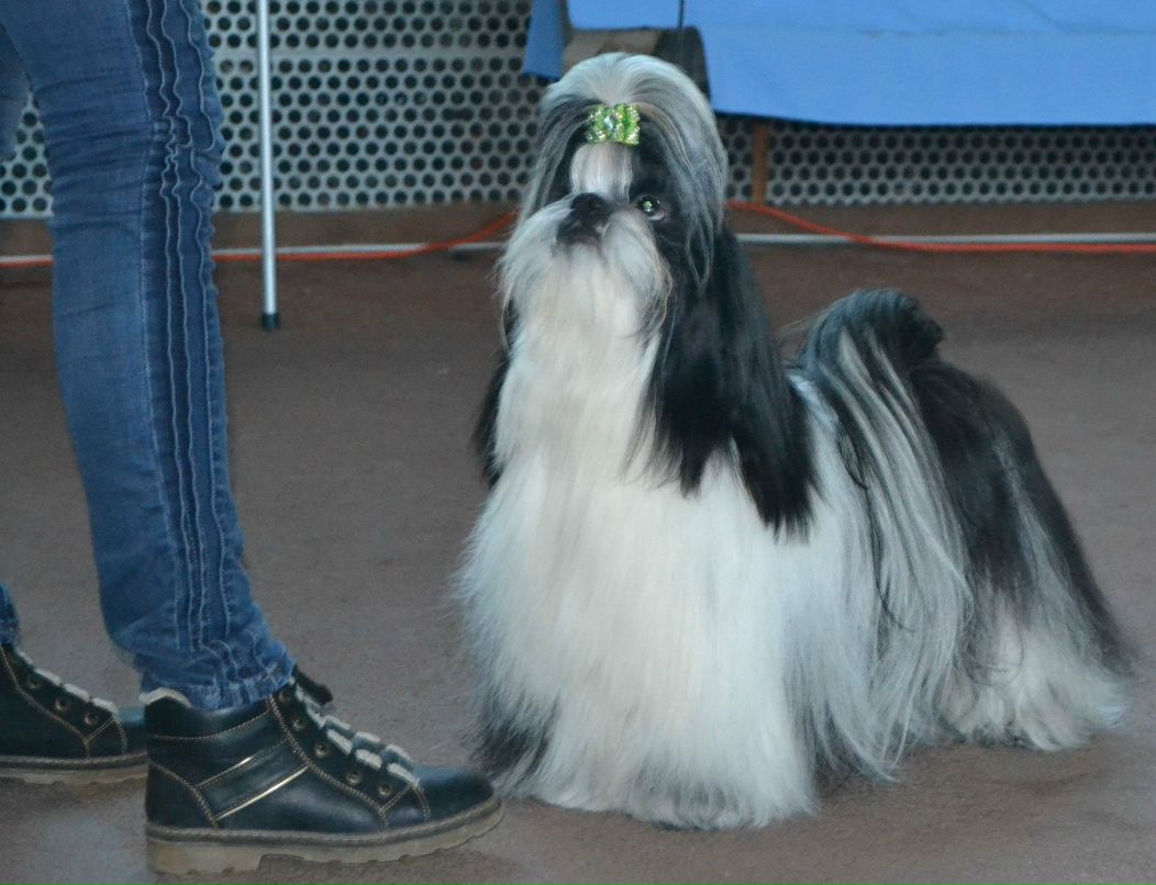 Оля Фартушна | Кривой Рог