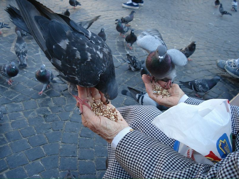 Татьяна Гордеевапетрова | Санкт-Петербург