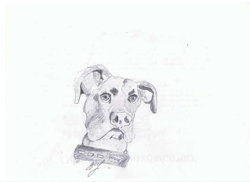 №44, Ярослав Лапко, 38 лет, Москва №44, Ярослав Лапко, 38 лет, Москва