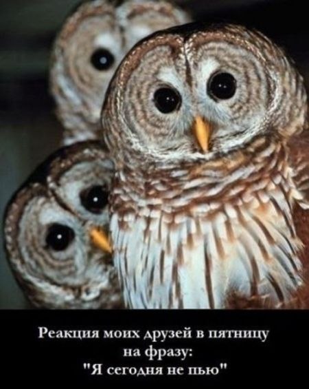 Артур Браславский Аслямович | Санкт-Петербург