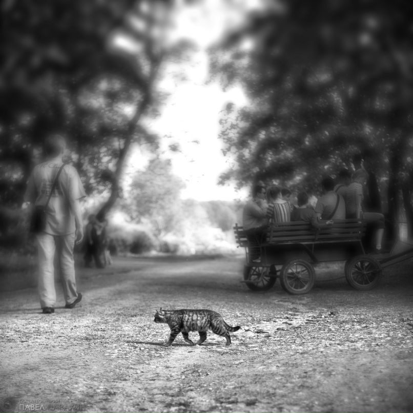 Павел Парахин | Тула