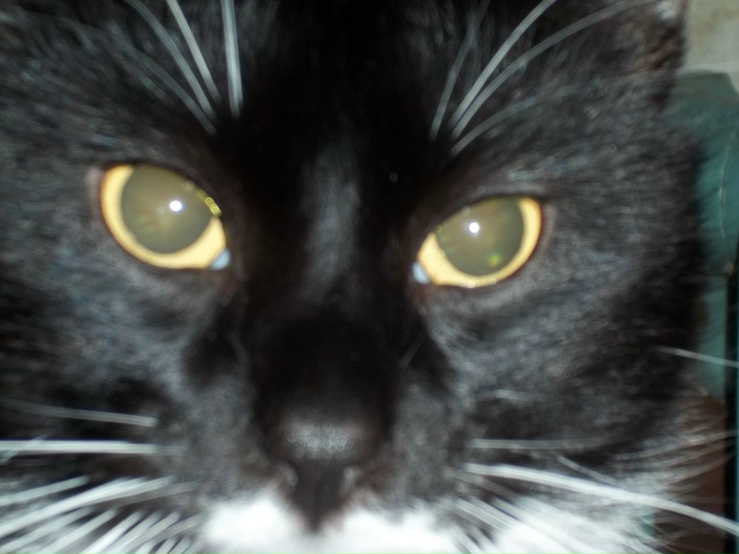 Лёха Расчесов DOICHE | Гатчина