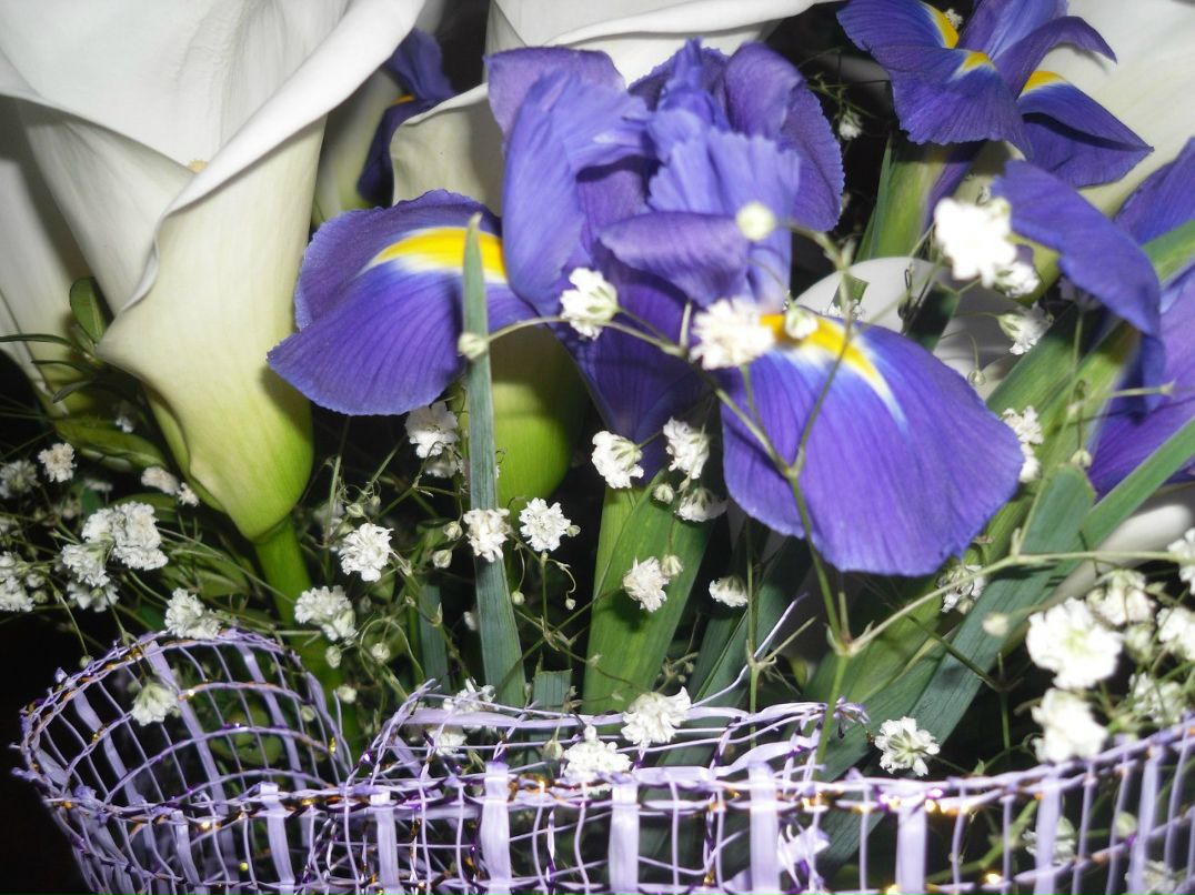 Валентина Быкова ☜(ړײ)☞ TINKA | Львов