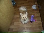 №12 Евгений Каминский 05.09.1987: профиль, фото, статус - ВКонтакте №12 Евгений Каминский 05.09.1987: профиль, фото, статус - ВКонтакте