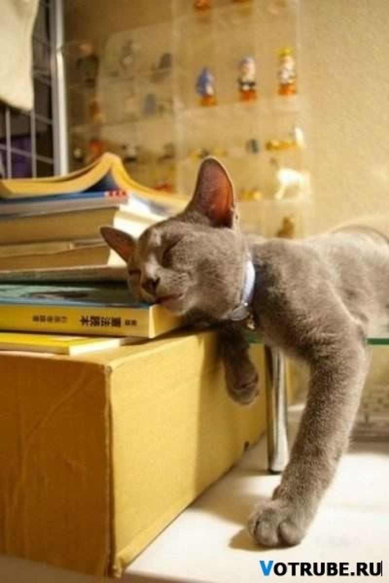 Надежда Этоя | Москва