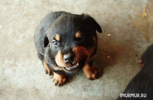 Илья Курчанов | Барнаул