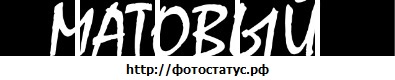 №66, Алексей Дмитриев, 34 года, Кунья №66, Алексей Дмитриев, 34 года, Кунья