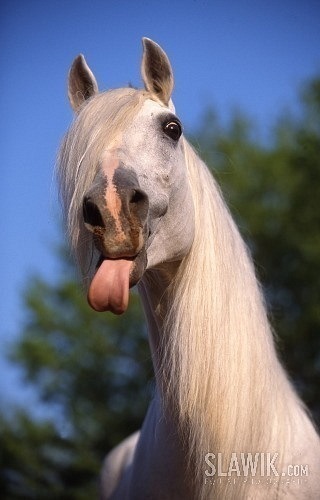 №36, Дарья Сорокина, Краснодар №36, Дарья Сорокина, Краснодар