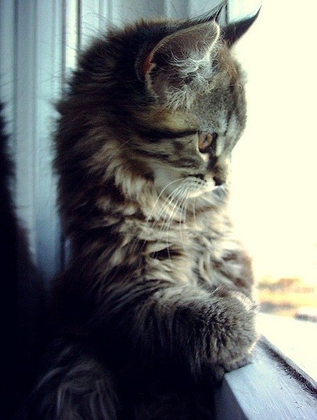 Айгуль Валиева | Москва