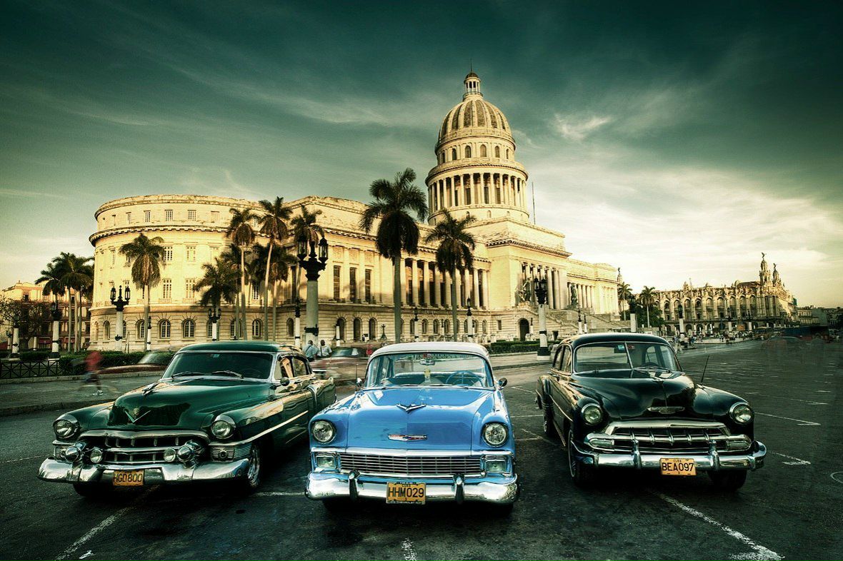 Алиса Найз | Минск