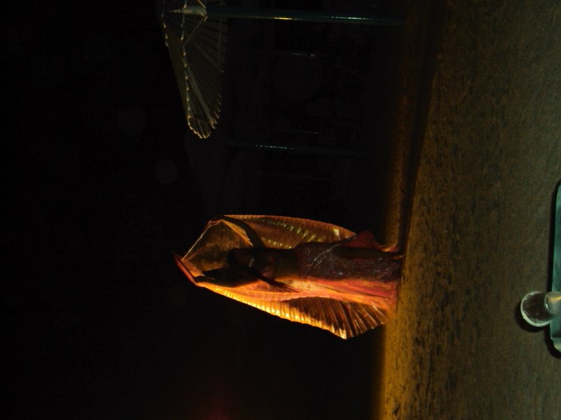 Алексей Степанов | Москва