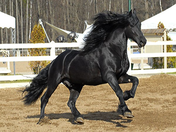 Хаким Гаджиев | Волгоград