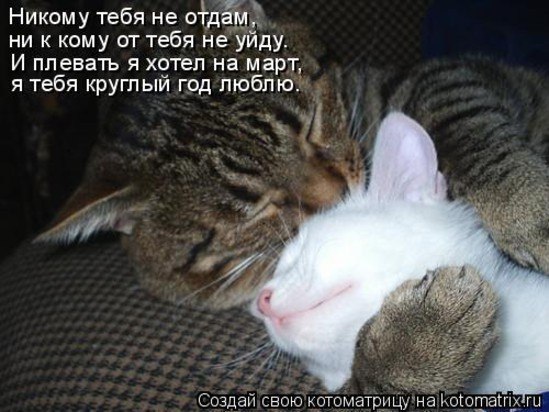 Свет Лана | Москва