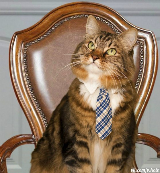 Андрей Яковлев | Мга