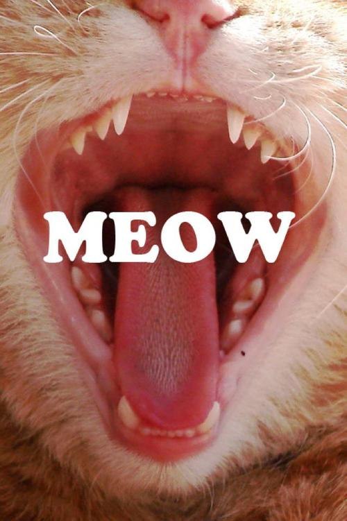 Алина Баклаева | 