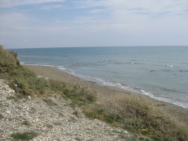 №74, Nikos Vassiliou, Nicosia №74, Nikos Vassiliou, Nicosia