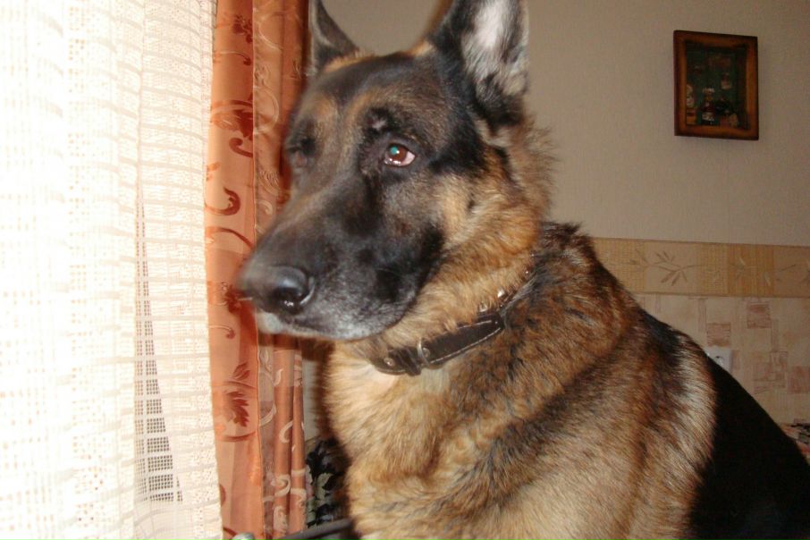 №23, Станислав Савенков, 5.12.1978, Санкт-Петербург №23, Станислав Савенков, 5.12.1978, Санкт-Петербург