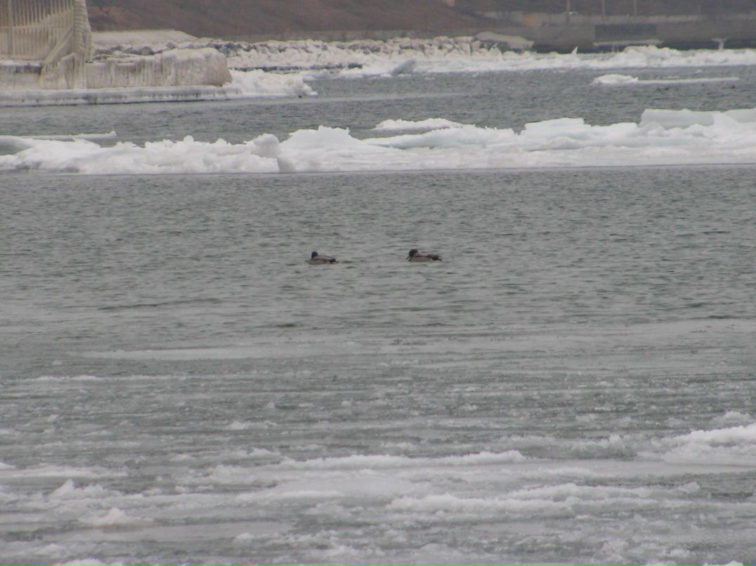Иван Федченко | Одесса