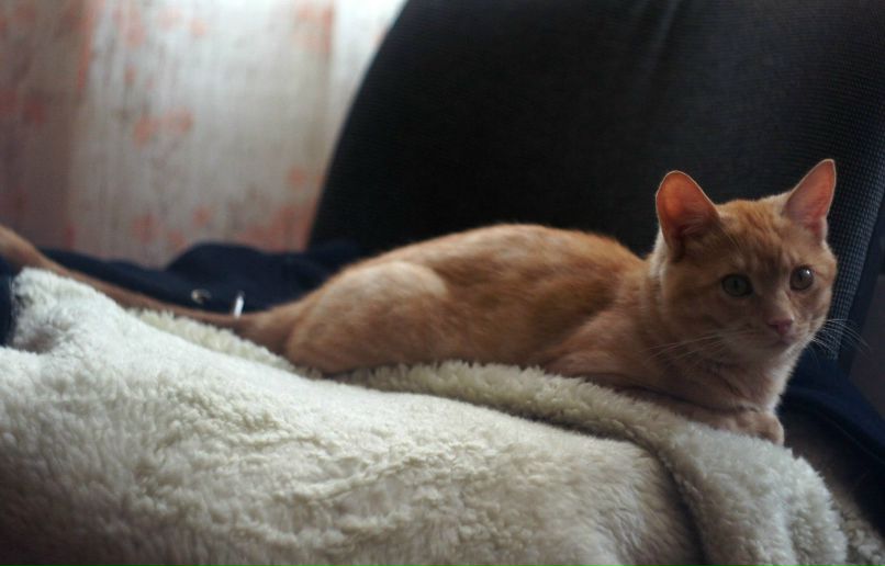 Александр Межерицкий Константинович | Харьков