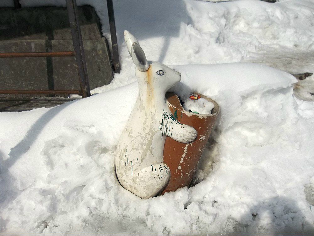 Максим Бугера | Киев