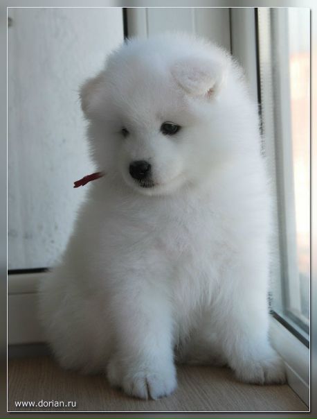 №61, Юлія Кавеліна, Днепр (Днепропетровск) №61, Юлія Кавеліна, Днепр (Днепропетровск)