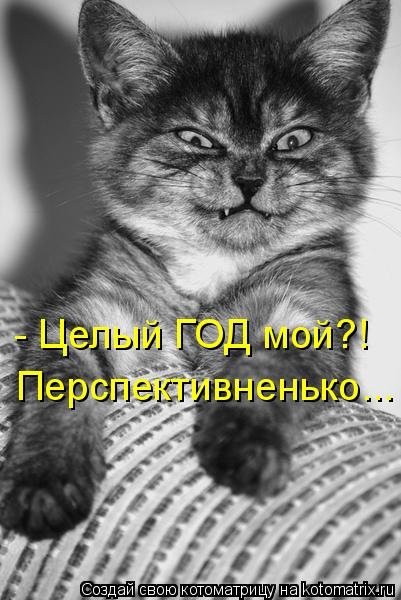 №138, Алексей Сидоров, 21.12.1999 №138, Алексей Сидоров, 21.12.1999