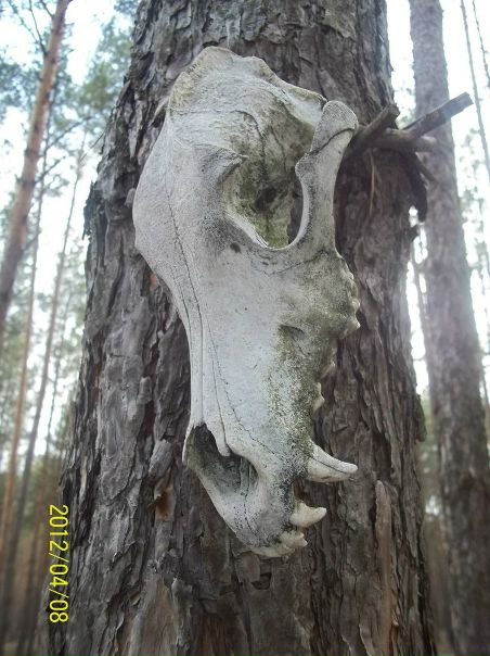 №181, Марина Богдан, 32 года, Los Angeles №181, Марина Богдан, 32 года, Los Angeles