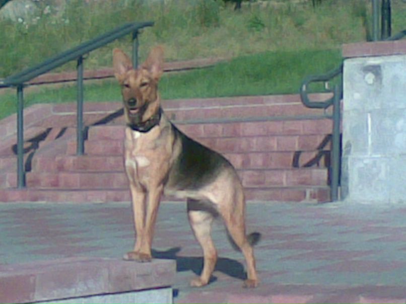 Дина Малашко | Минск