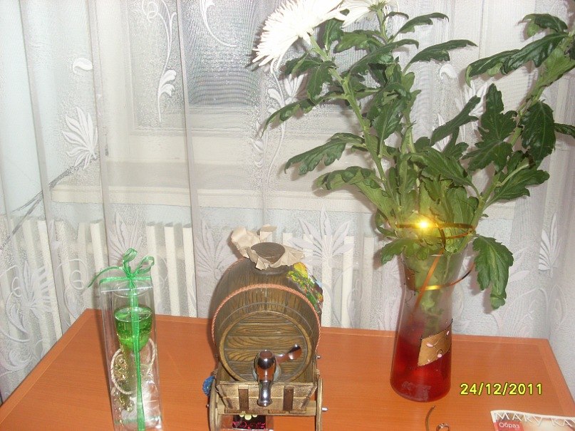 Галина Плотникова | Санкт-Петербург