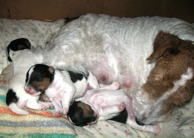 Андрис Рускулис UrIsOvIch | Николаев