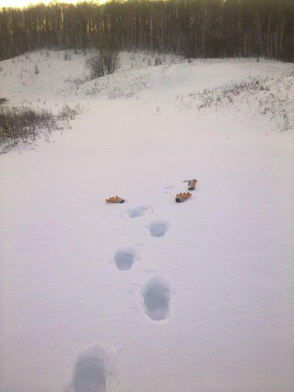 Alex Chemeris | Frankfurt am Main