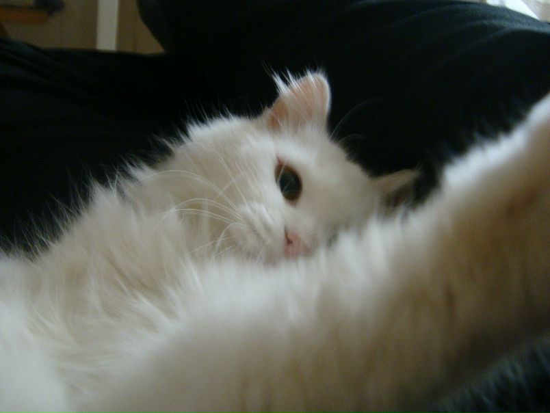 №110, Артем Троицкий, Херсон №110, Артем Троицкий, Херсон