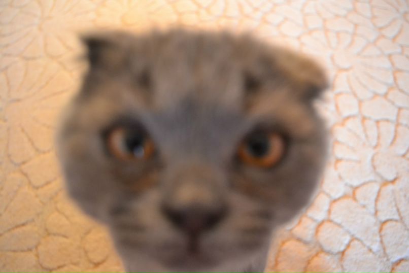 Юляна Яковенко | Ставрополь