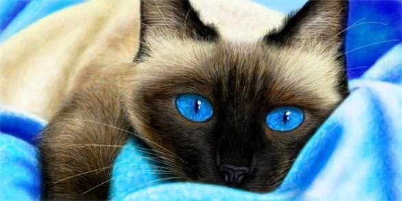 Инна Станко Владимировна | Сургут