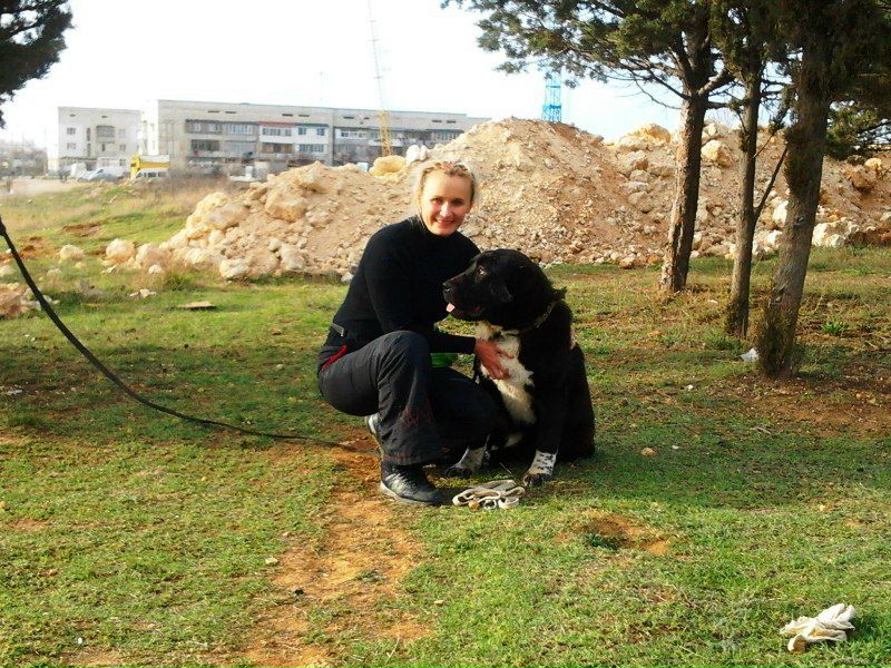 №81, Руслан Гордеев, Львов №81, Руслан Гордеев, Львов