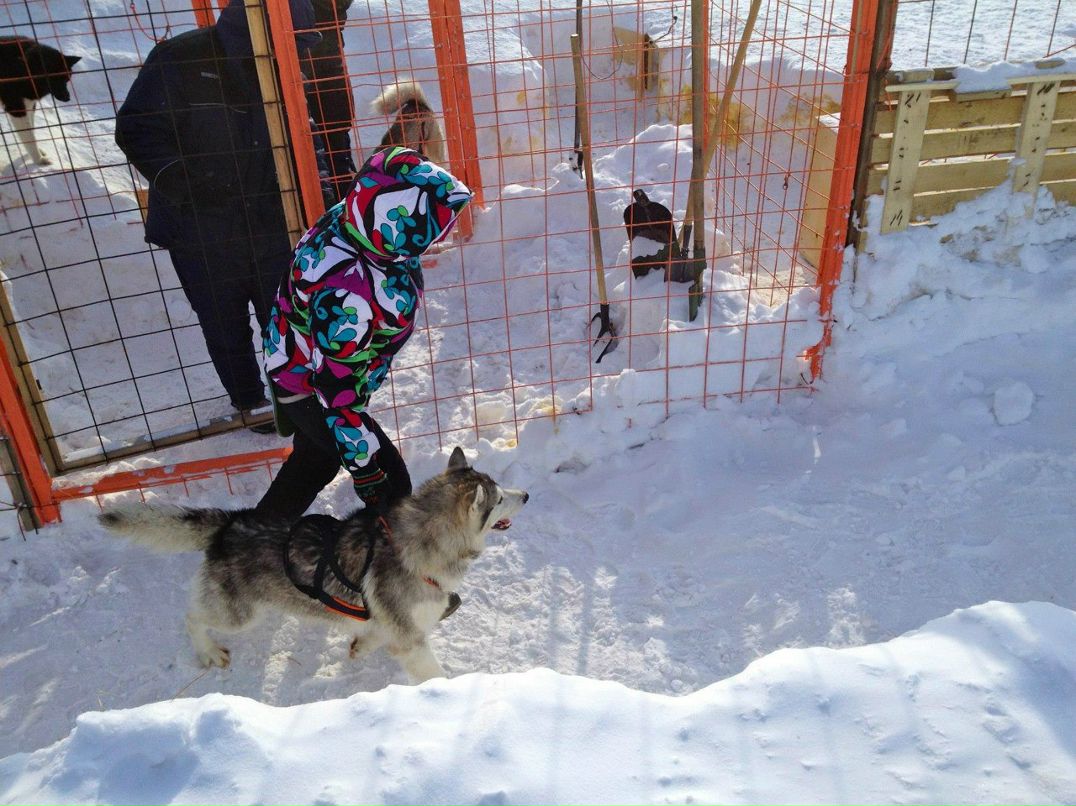 Артем Шляхтин xodzor | Москва