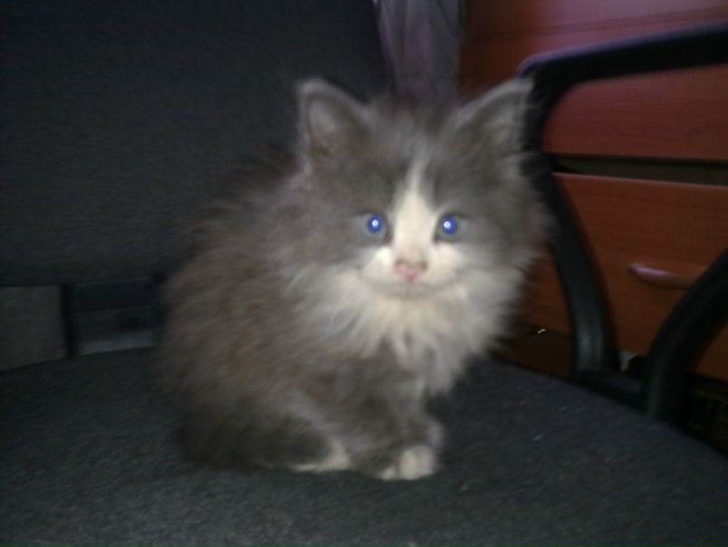 №3, Варвара Силакова, Санкт-Петербург №3, Варвара Силакова, Санкт-Петербург