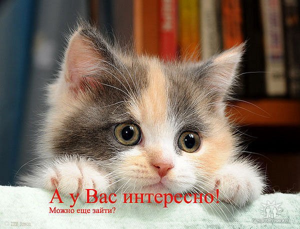 Светлана Гостюхина | 